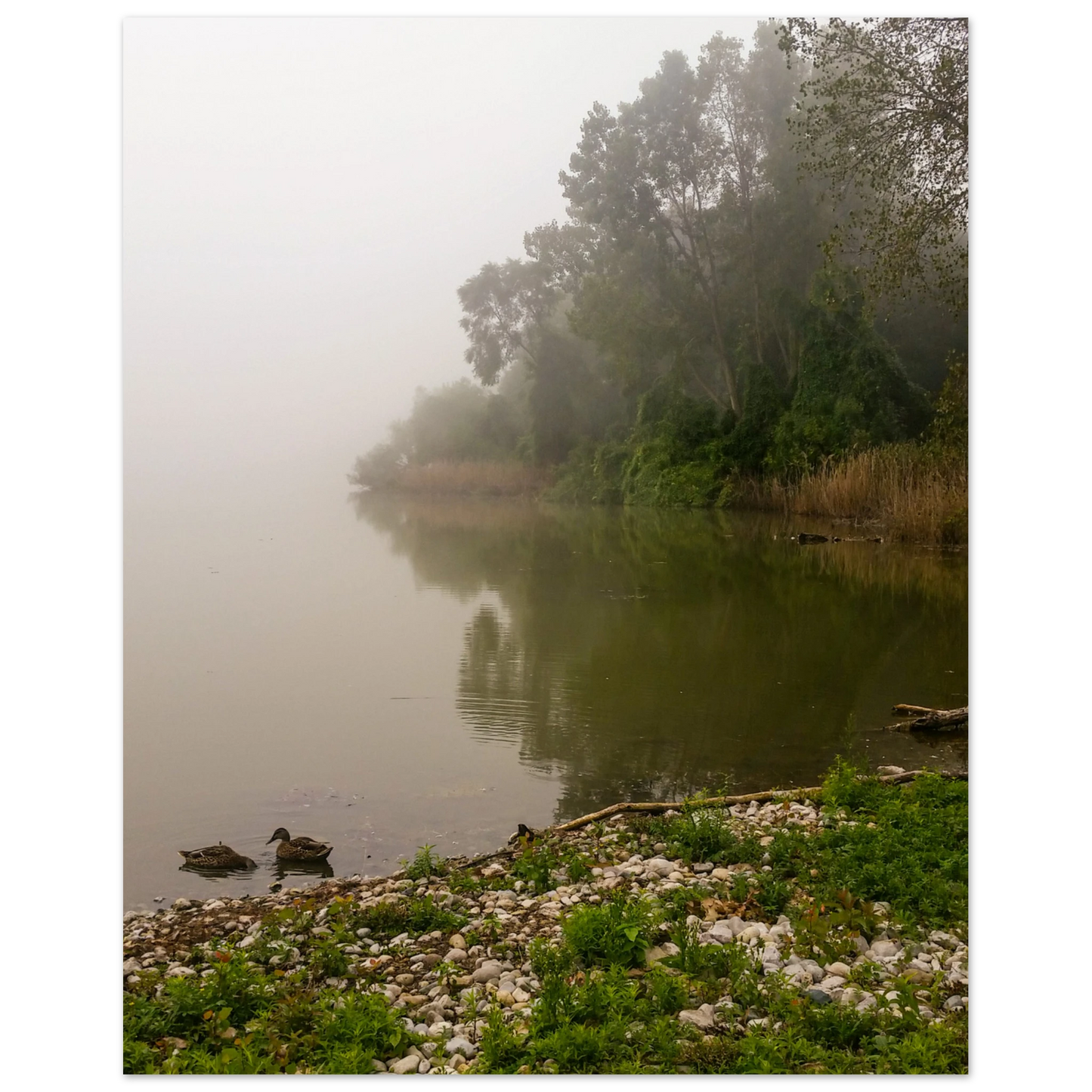 7c91c278-1c97-43d7-83b4-fdbda60efab4