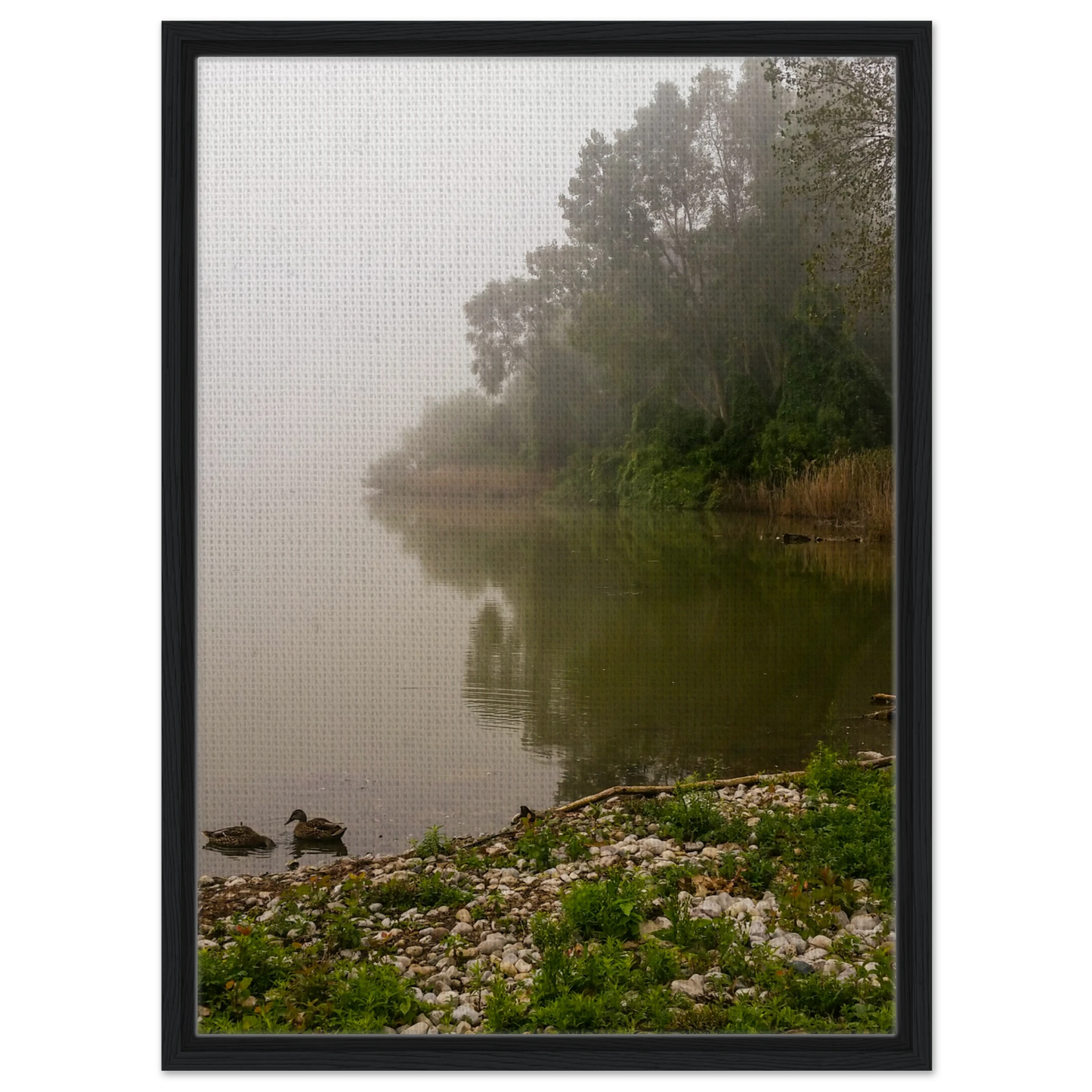 9a3d8242-8fc7-4d88-b0c6-8295bb1ce407