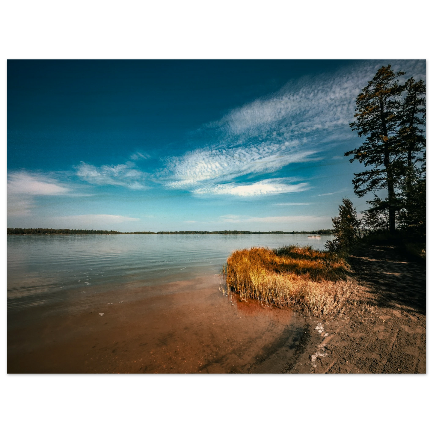 a0672e5b-15b5-4572-8ccc-ba005d2423e3