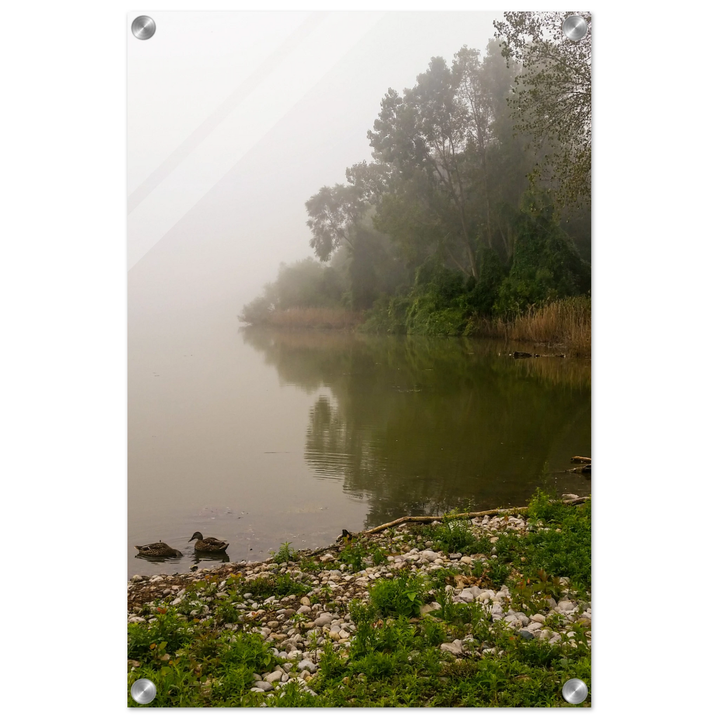 a43dfaaa-06d4-4ef1-b060-843ea6da643c