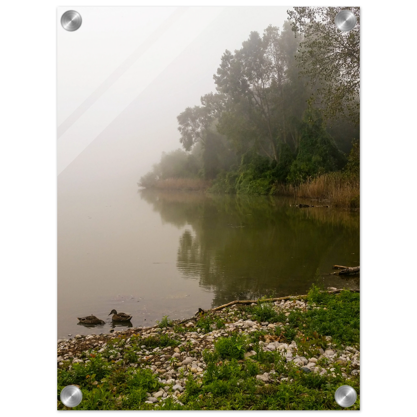 ab689857-87a9-40f3-917c-82226300f4aa