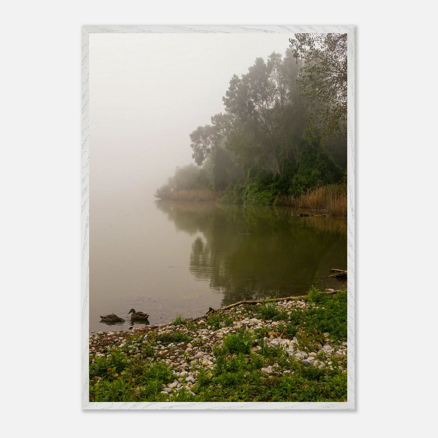 bd439896-341e-4dc4-a2a8-0d7700bd8022