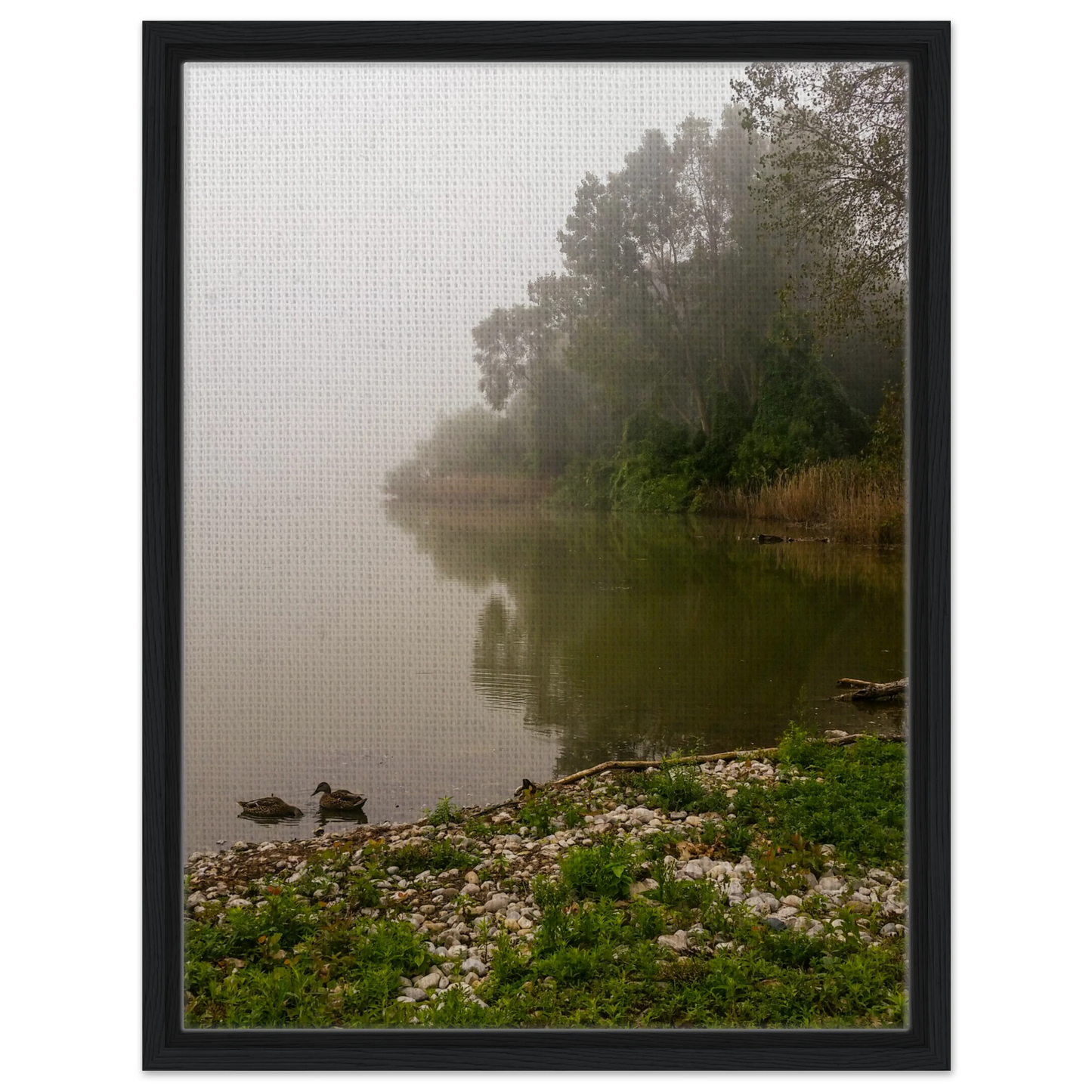 d1d47f19-fa49-4456-b928-5771e0ca73af