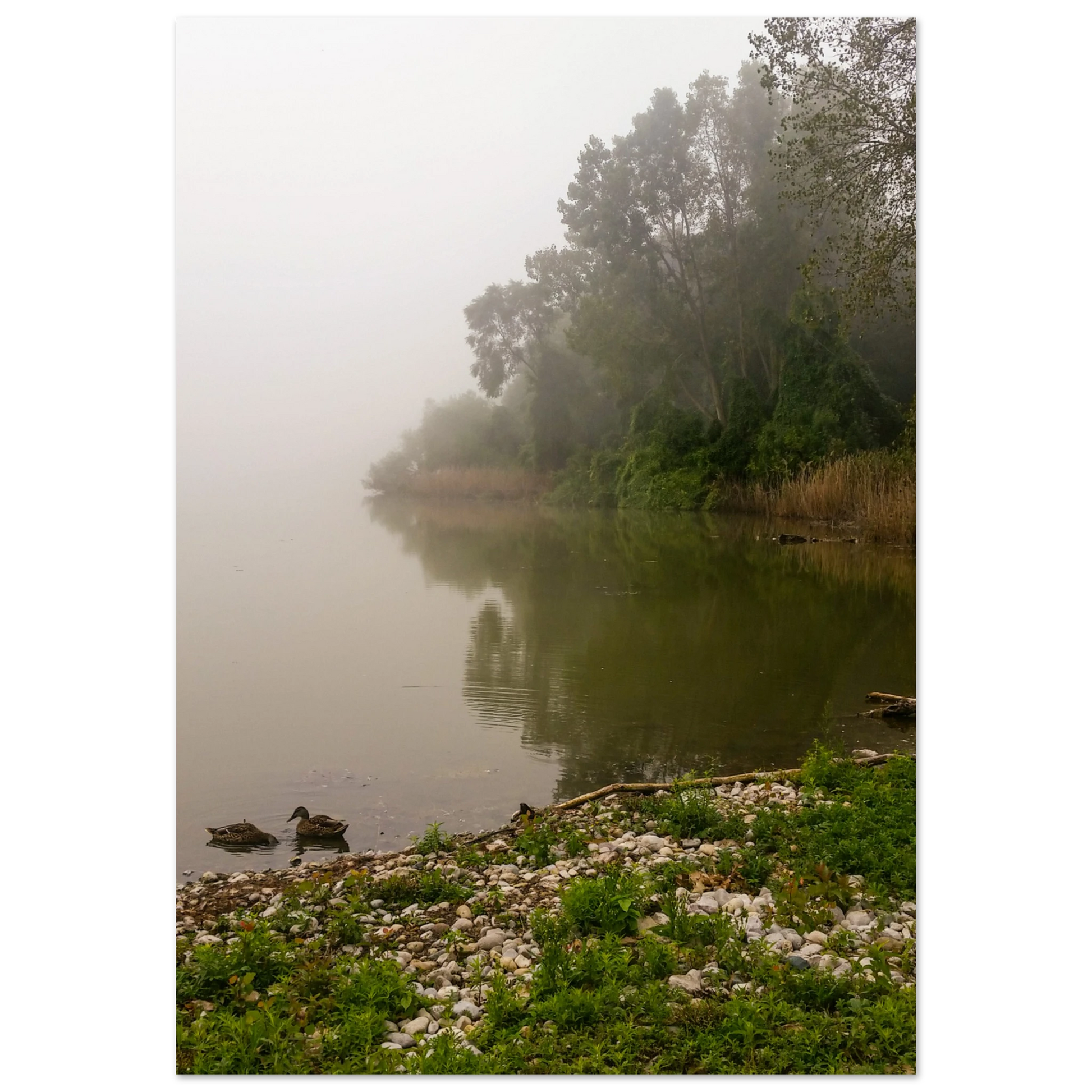 11f23d27-6467-43d1-b862-da6a4bf01014