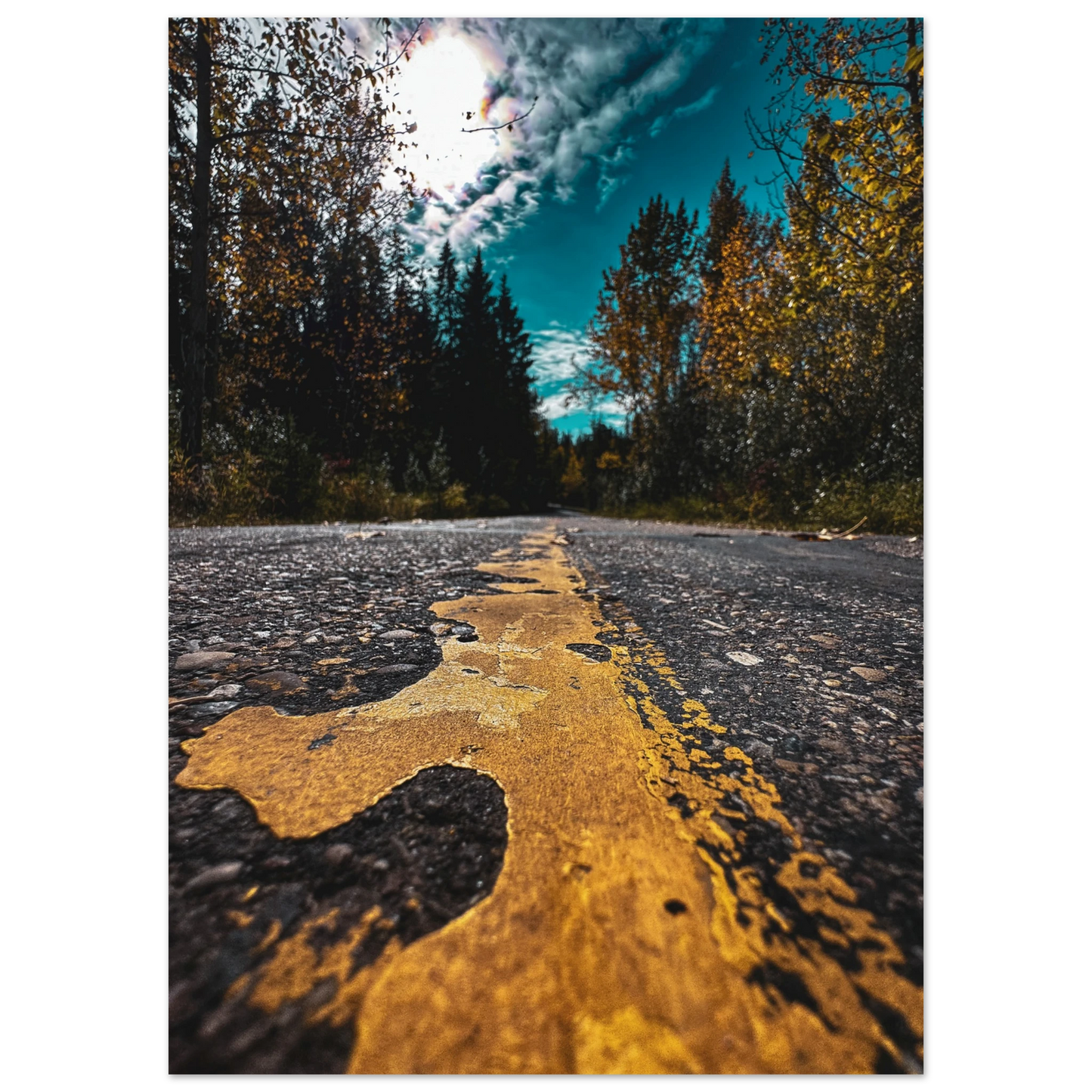 7d6f1d75-ccdd-44aa-8c09-9251ffccf4c4