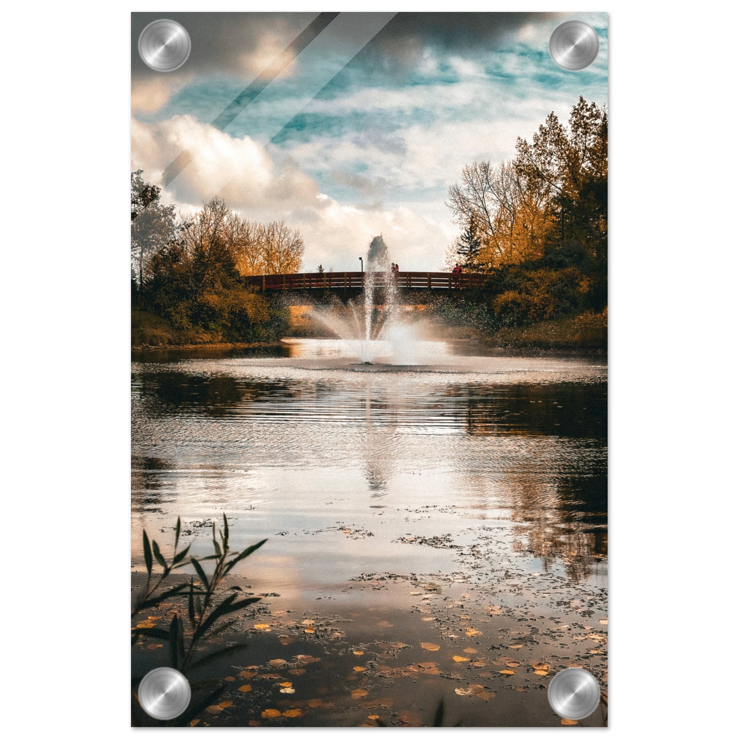 c6629777-a8c4-42c4-aeef-dd568315477e
