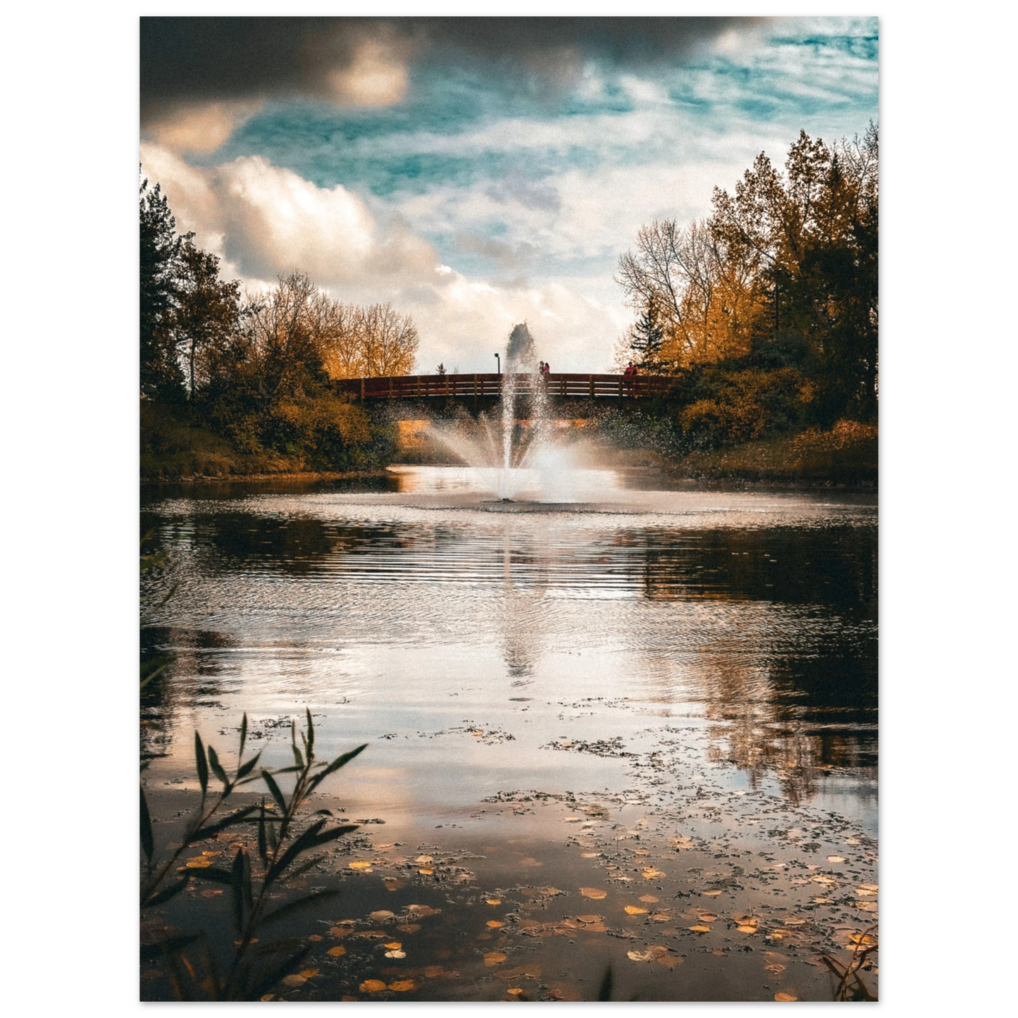 d22c7d51-4cef-4352-a0c4-f09bbef2ce3e